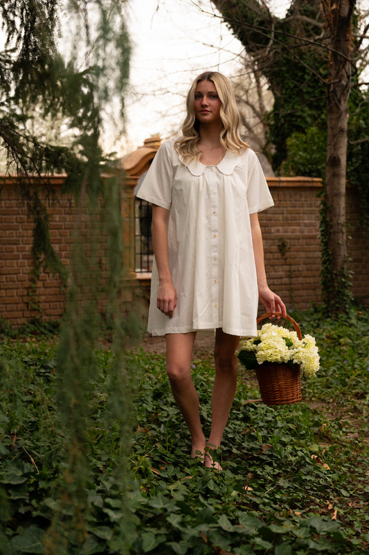 DELPHINE DRESS - SALT